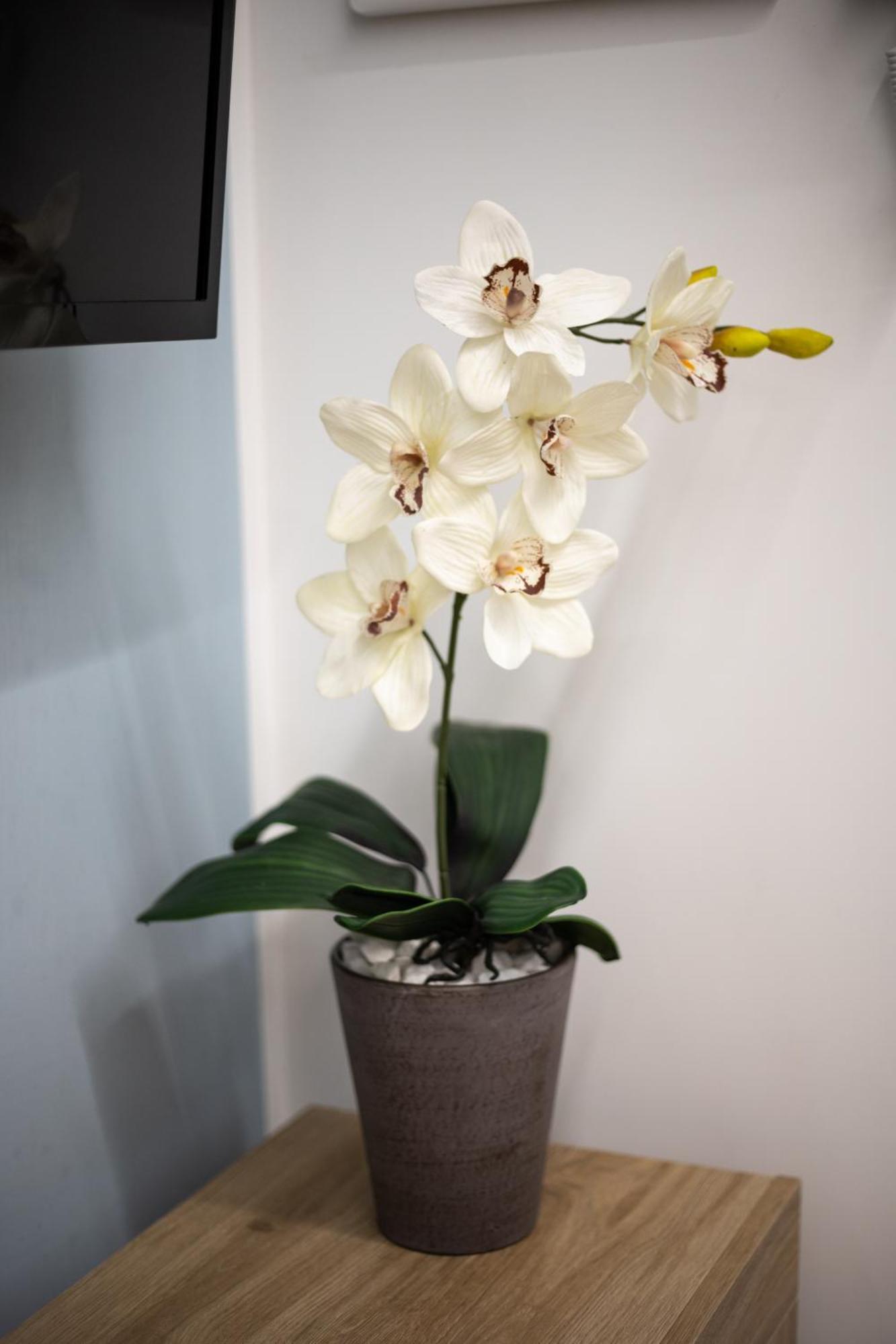 Filo Apartment Capua Ngoại thất bức ảnh